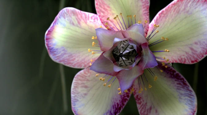 The Shannara Chronicles: “Changeling” changes almost nothing for anyone