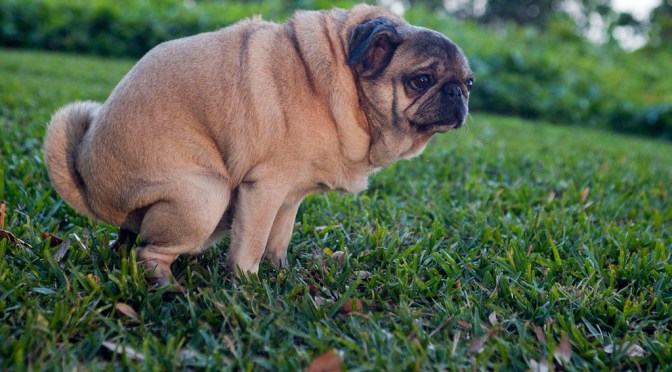 Hugo Reactions Roundup and Thoughts