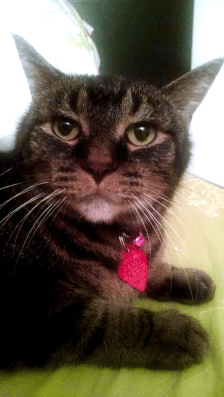 RIP, Isabelle, you mean old broad. 